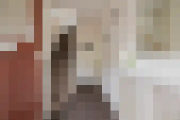 Terrasweg 9 Santpoort-Noord thumbnail 6