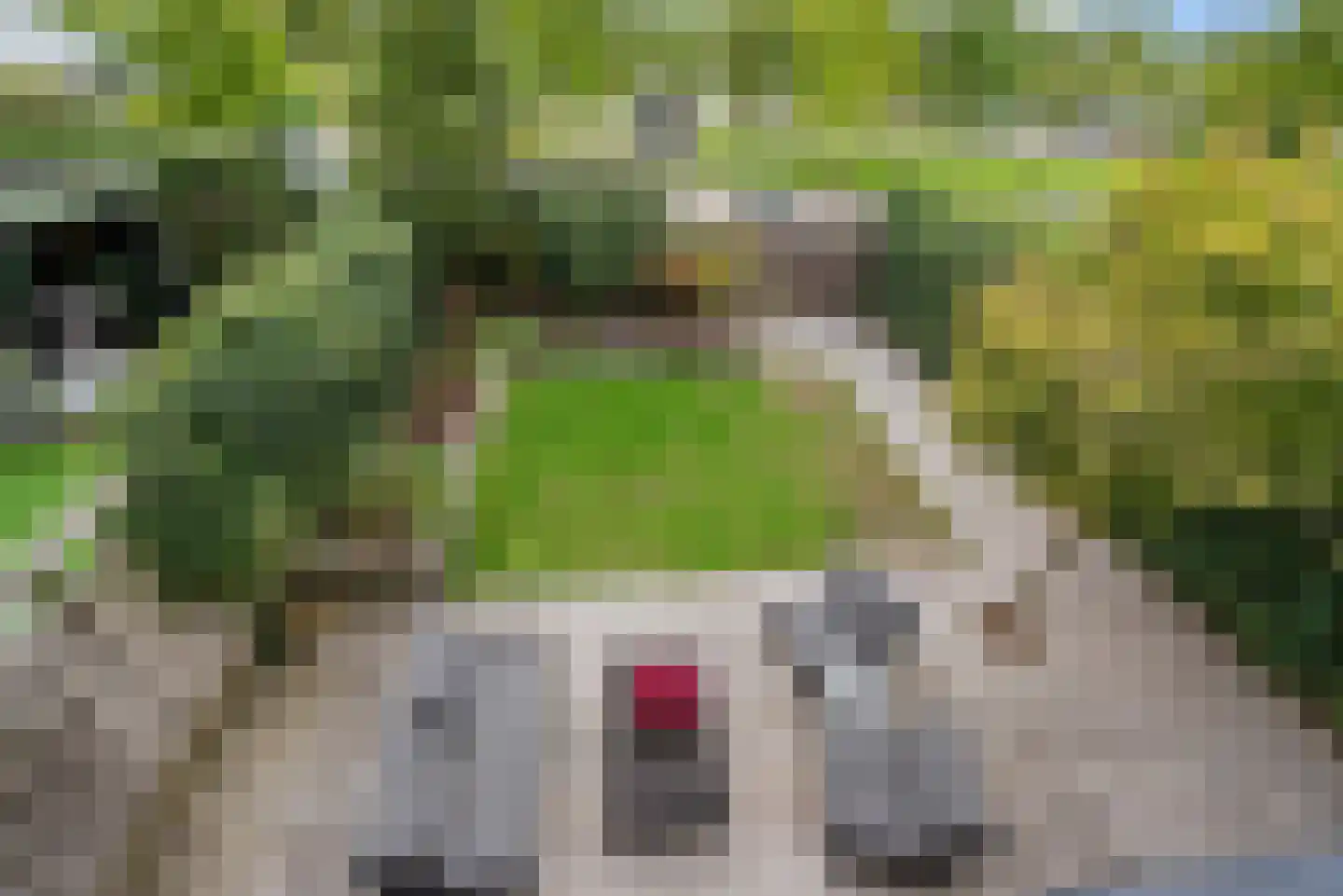 Terreplein 1 Vijfhuizen thumbnail 38