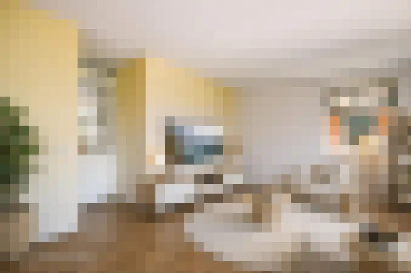 Terreplein 12 Bergambacht thumbnail 10