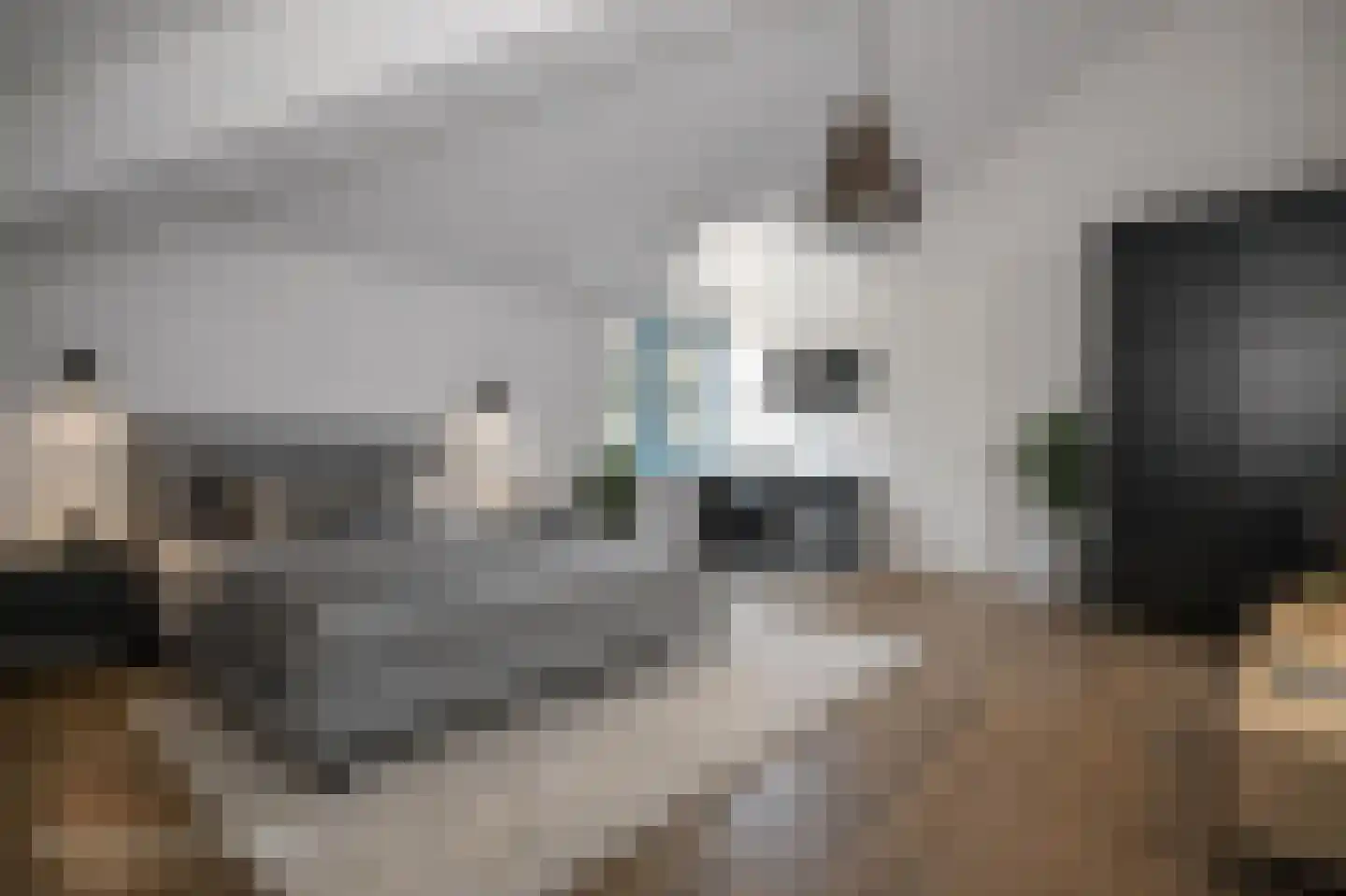 Terreplein 12 Bergambacht thumbnail 25