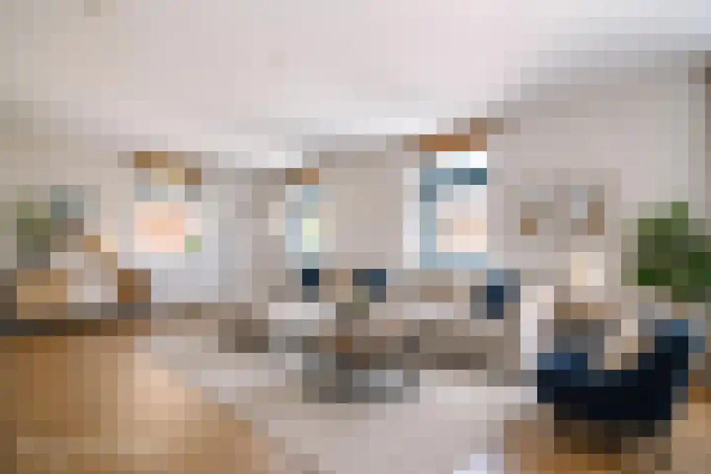 Terreplein 12 Bergambacht thumbnail 8