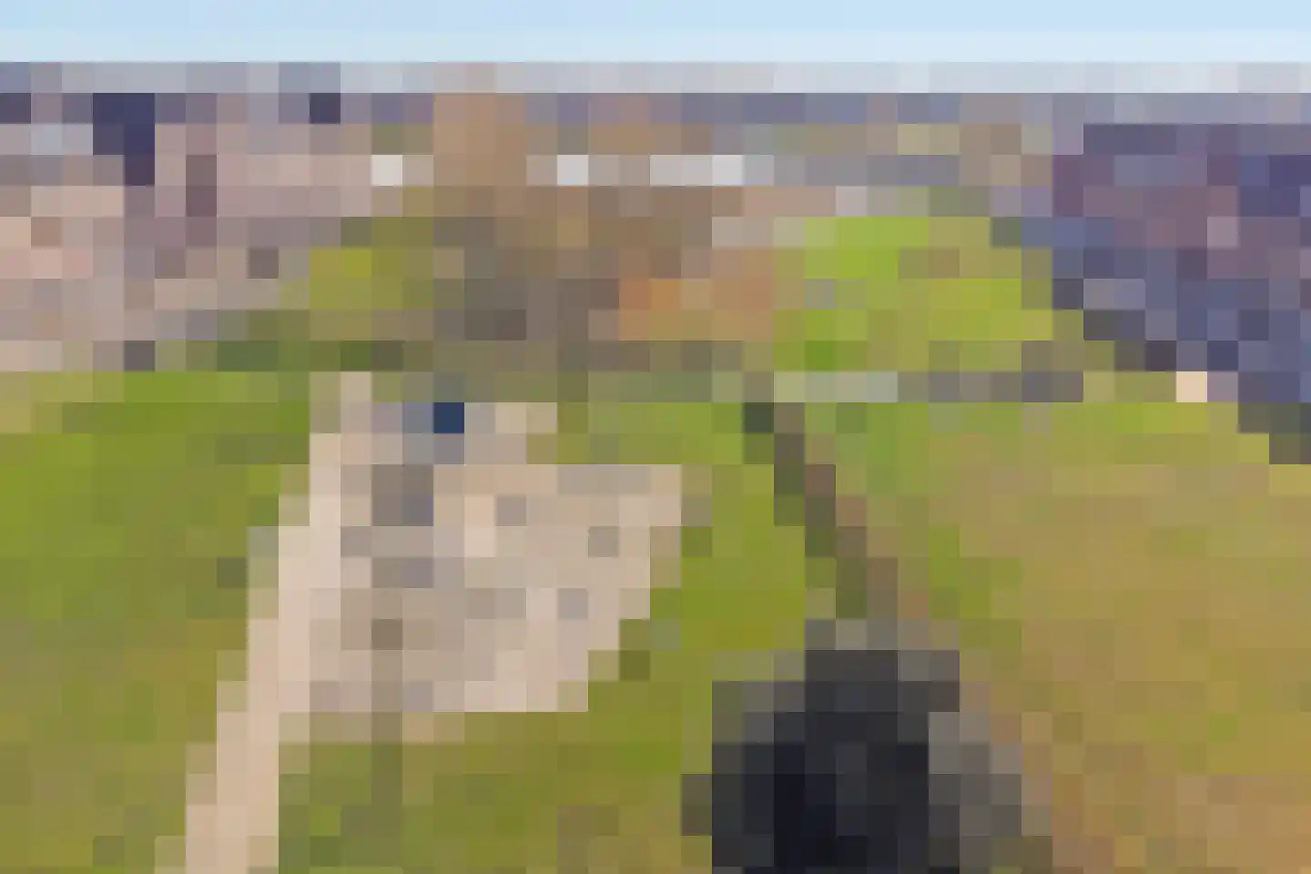 Terreplein 2 Geertruidenberg thumbnail 43