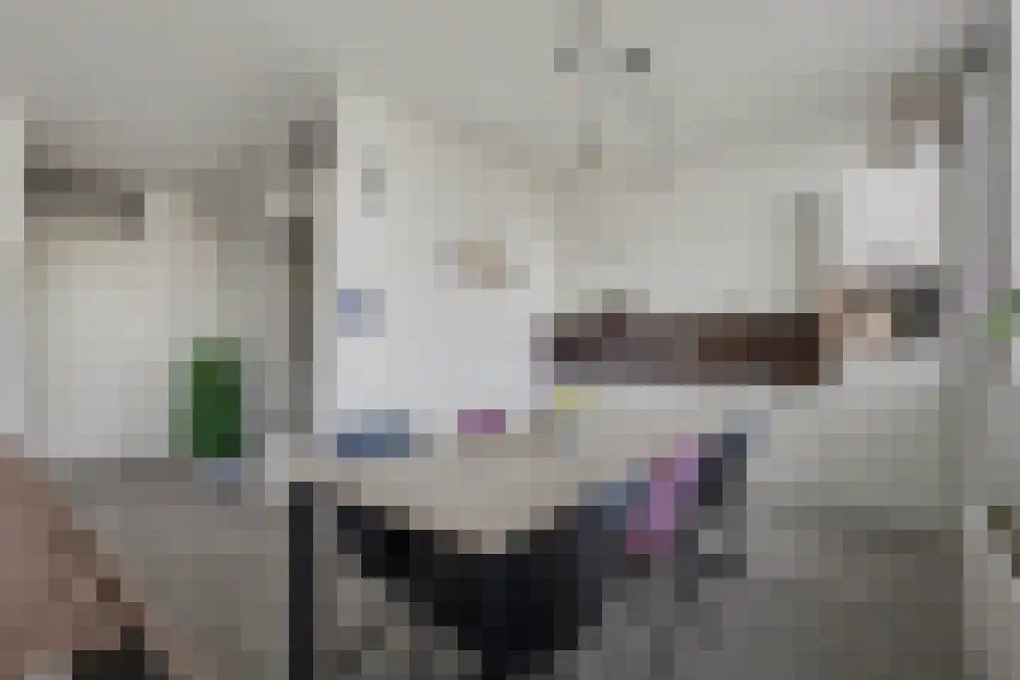 Terreplein 2 Geertruidenberg thumbnail 6