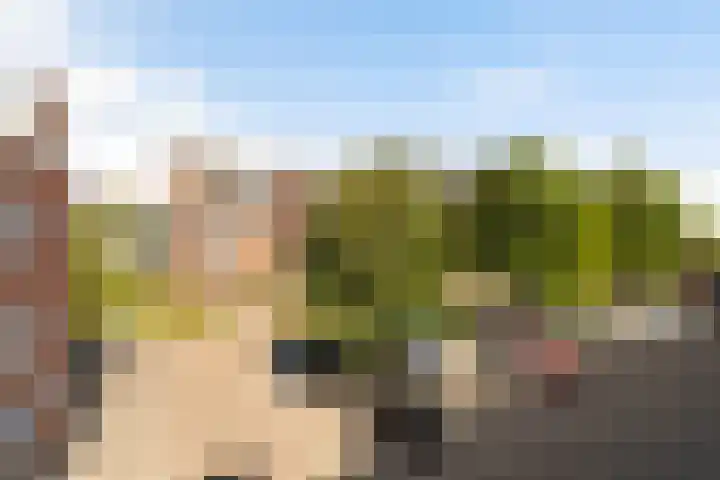 Terreplein 29 Bergambacht thumbnail 11