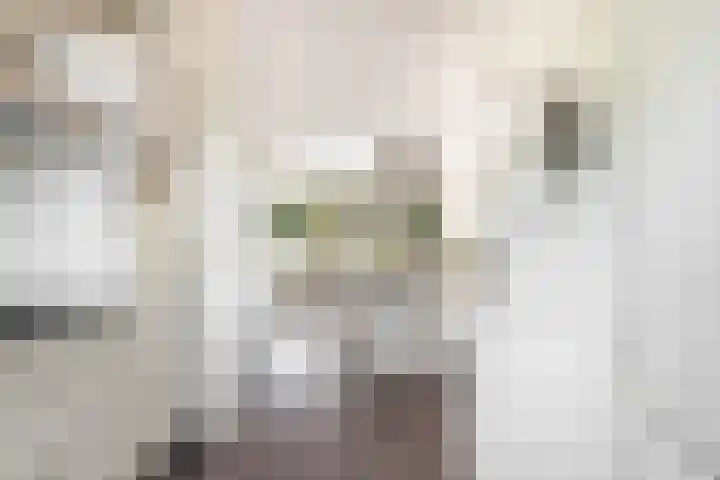 Terreplein 29 Bergambacht thumbnail 12