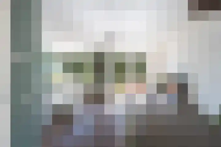 Terreplein 29 Bergambacht thumbnail 13