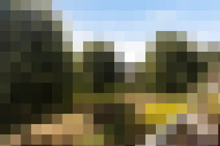 Terreplein 29 Bergambacht thumbnail 17