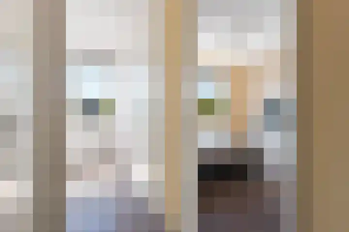 Terreplein 29 Bergambacht thumbnail 22