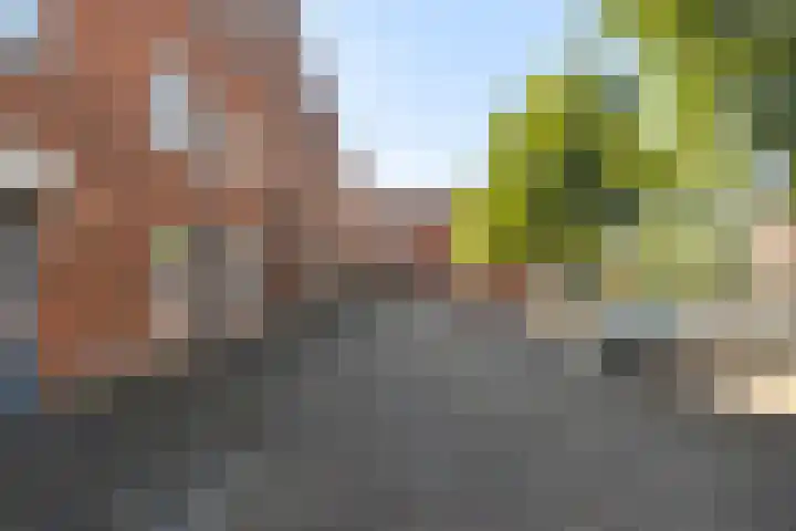 Terreplein 29 Bergambacht thumbnail 46