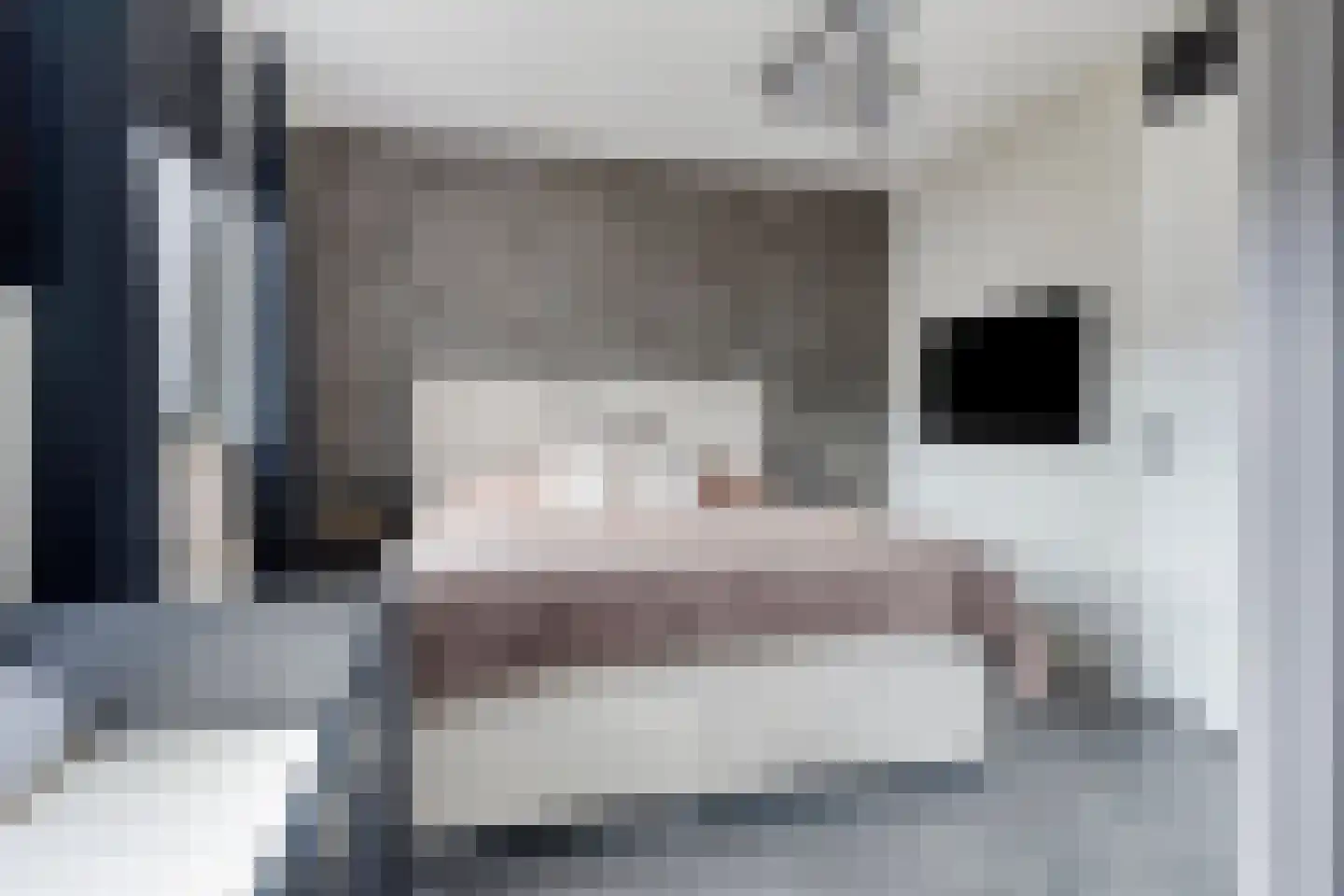 Terreplein 32 Geertruidenberg thumbnail 13