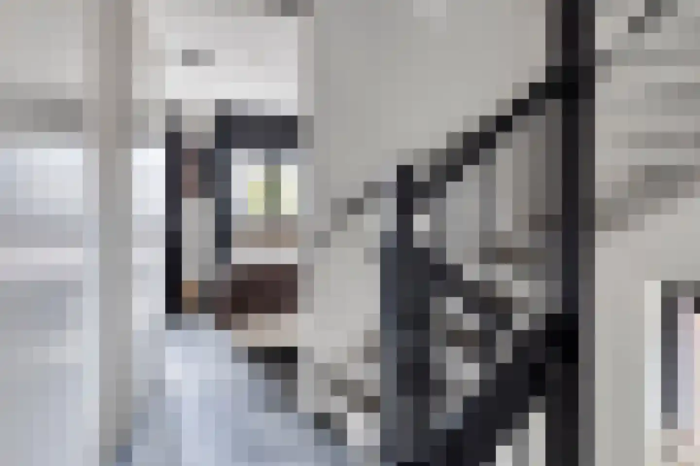Terreplein 32 Geertruidenberg thumbnail 21