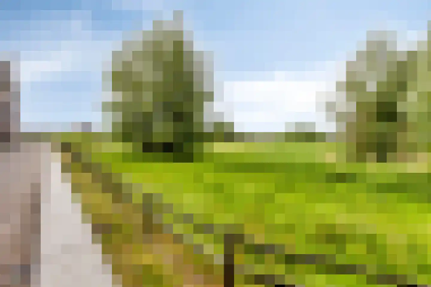 Terreplein 32 Geertruidenberg thumbnail 35
