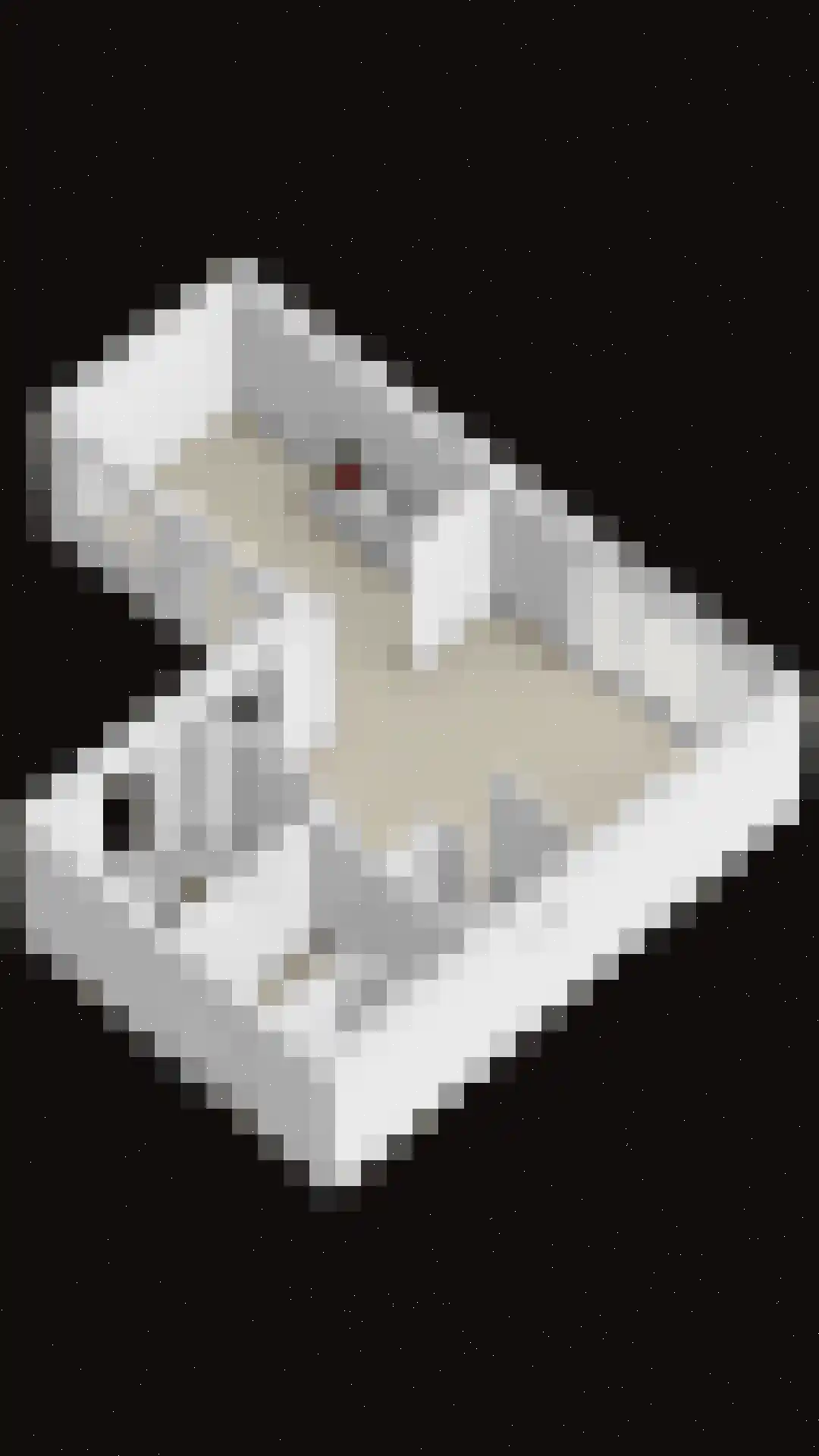 Terreplein 32 Geertruidenberg thumbnail 46