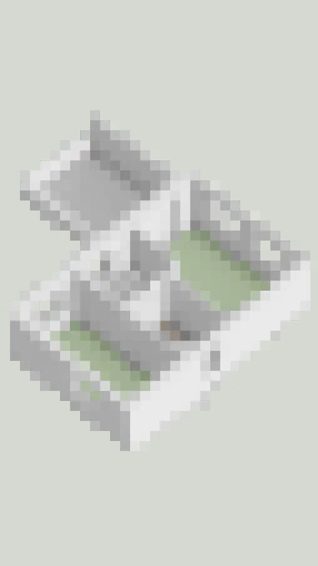 Terreplein 32 Geertruidenberg thumbnail 47