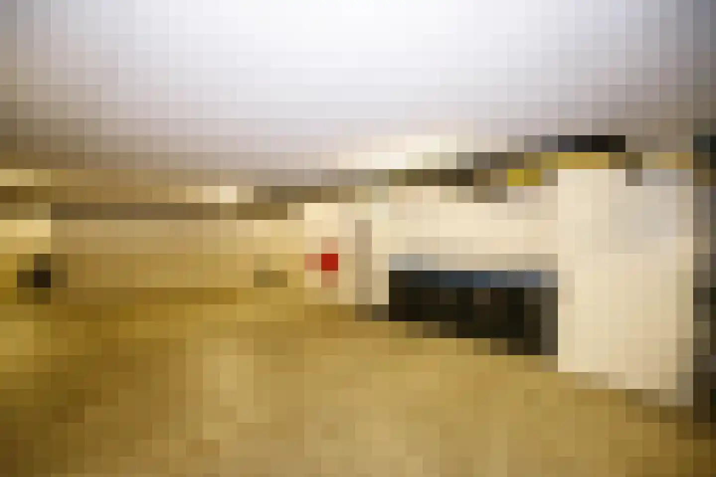 Terreplein 4 Bergambacht thumbnail 35