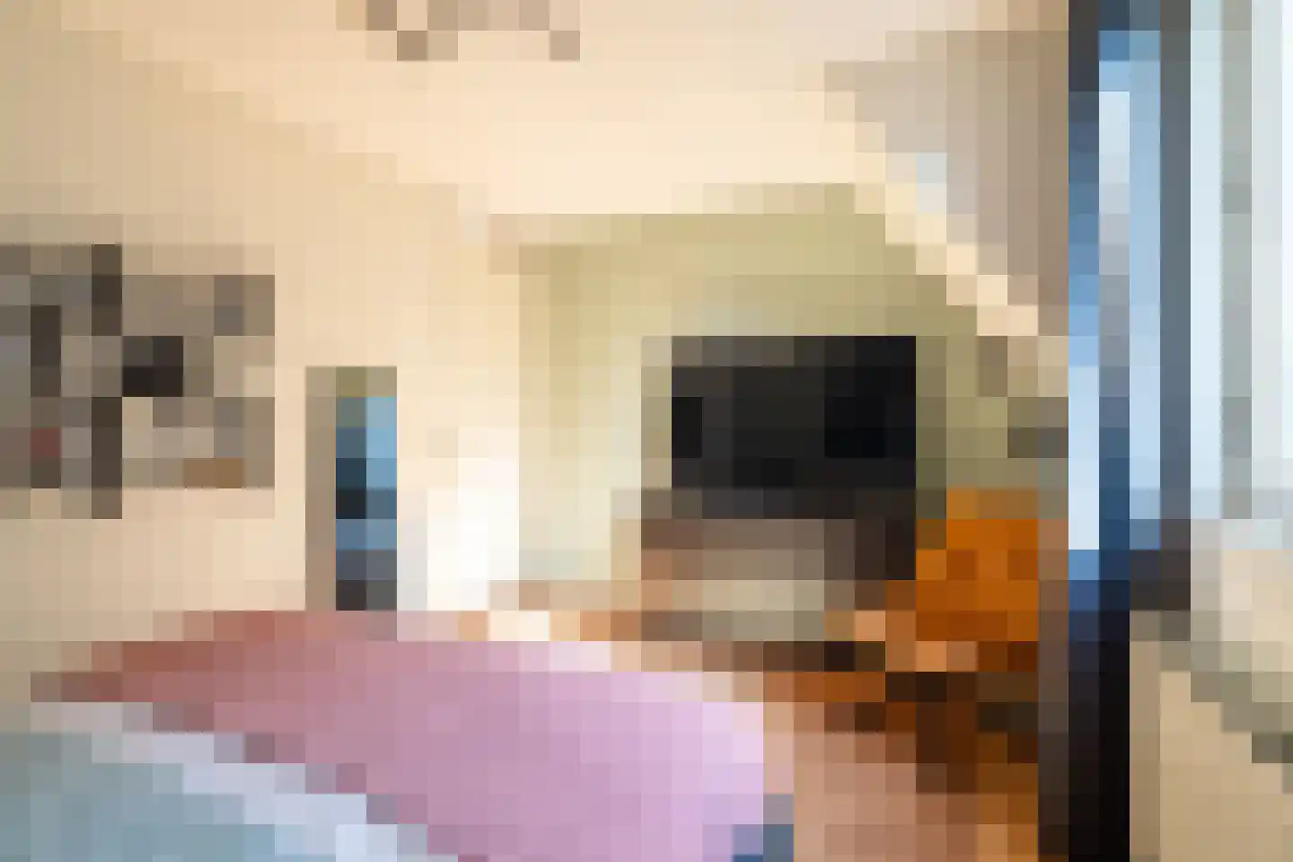 Terreplein 6 Geertruidenberg thumbnail 22