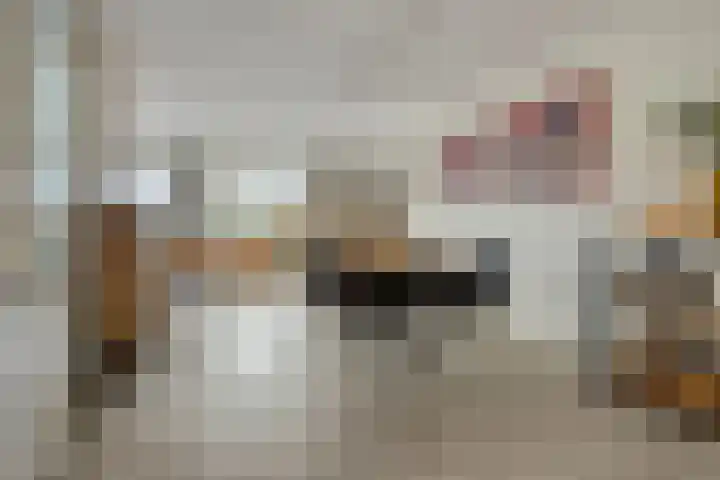 Terschelling 11 Emmeloord thumbnail 10