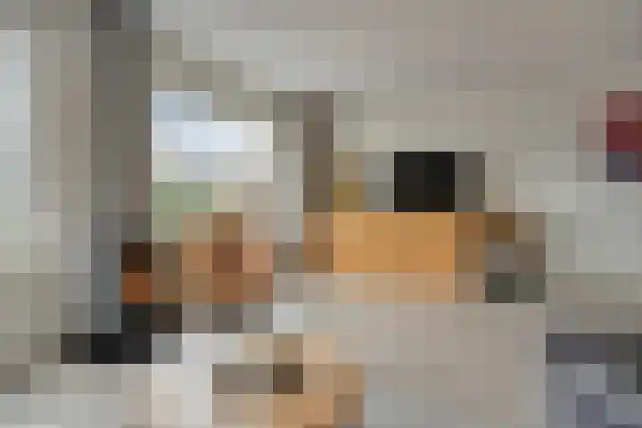 Terschelling 11 Emmeloord thumbnail 13