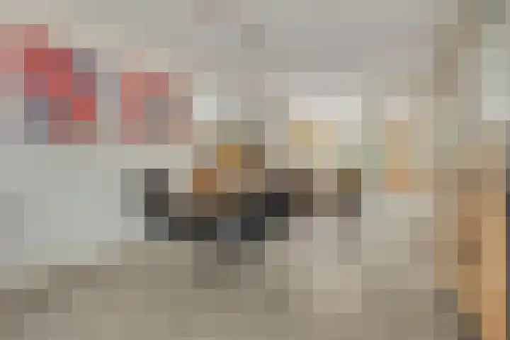 Terschelling 11 Emmeloord thumbnail 16