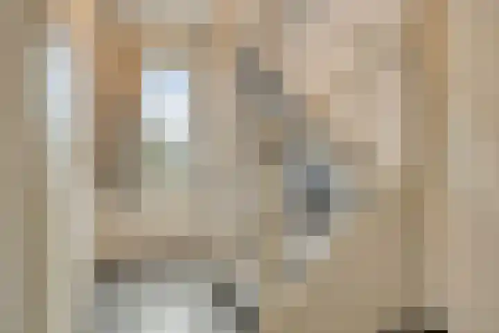 Terschelling 11 Emmeloord thumbnail 28