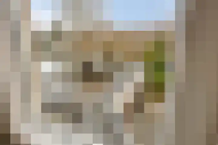 Terschelling 11 Emmeloord thumbnail 29
