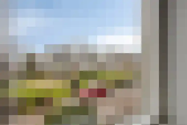 Terschelling 11 Emmeloord thumbnail 35