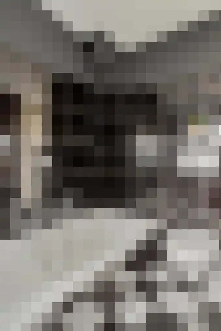 Terschelling 11 Emmeloord thumbnail 38
