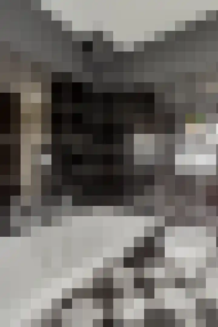 Terschelling 11 Emmeloord thumbnail 39