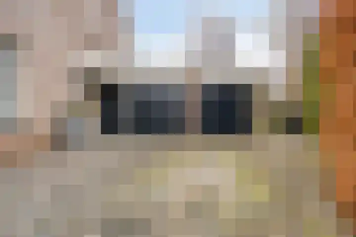 Terschelling 11 Emmeloord thumbnail 4