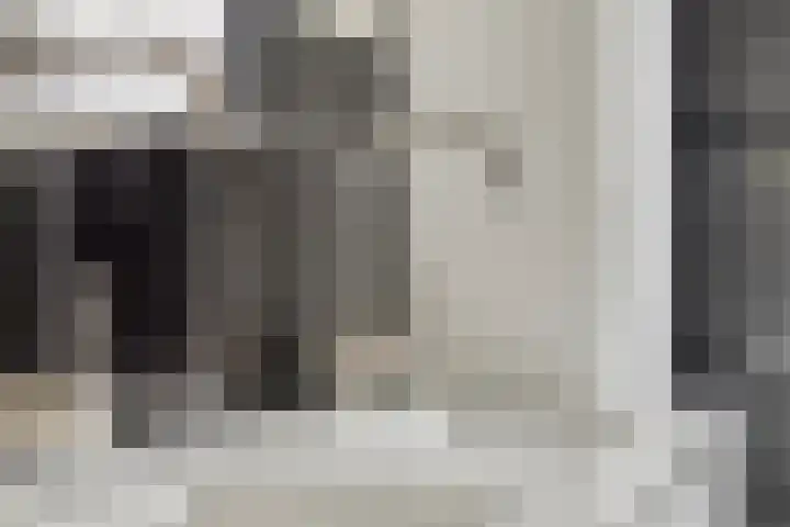 Terschelling 11 Emmeloord thumbnail 41