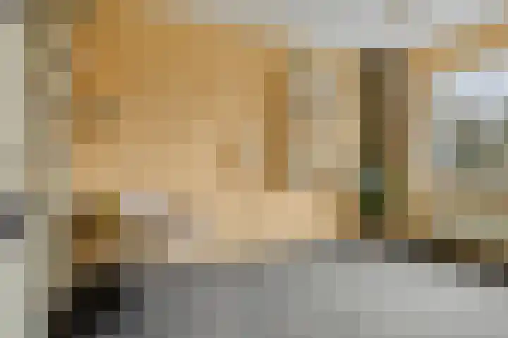 Terschelling 11 Emmeloord thumbnail 42
