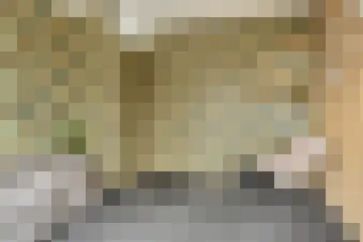 Terschelling 11 Emmeloord thumbnail 44