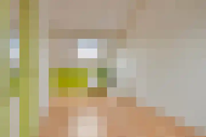 Terschelling 11 Emmeloord thumbnail 48