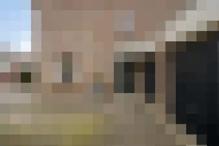 Terschelling 11 Emmeloord thumbnail 5