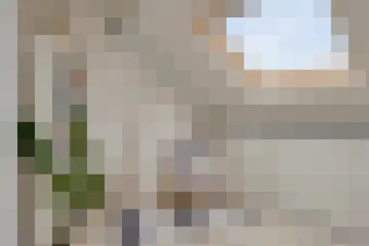 Terschelling 11 Emmeloord thumbnail 51