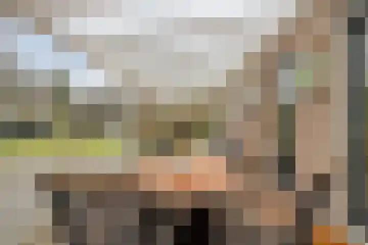 Terschelling 11 Emmeloord thumbnail 53