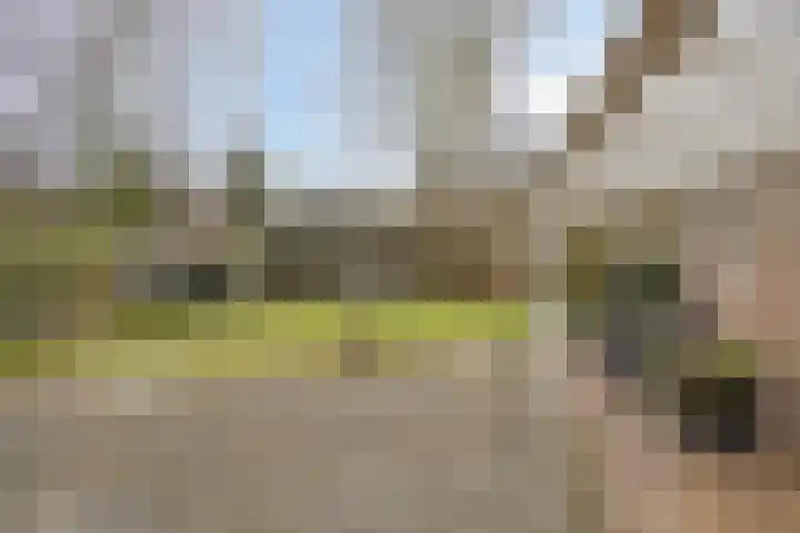 Terschelling 11 Emmeloord thumbnail 54