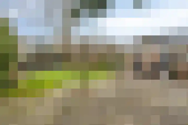 Terschelling 11 Emmeloord thumbnail 55