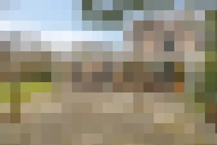 Terschelling 11 Emmeloord thumbnail 56