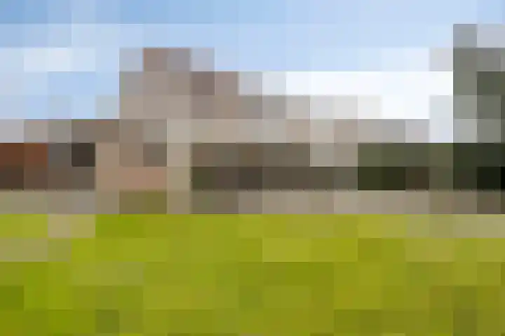 Terschelling 11 Emmeloord thumbnail 57