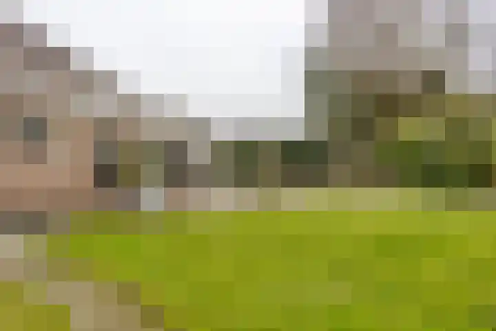 Terschelling 11 Emmeloord thumbnail 59