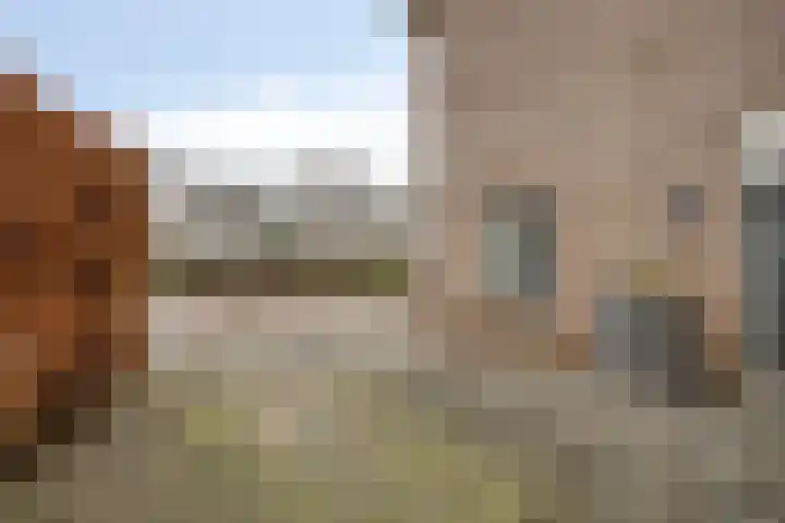 Terschelling 11 Emmeloord thumbnail 6