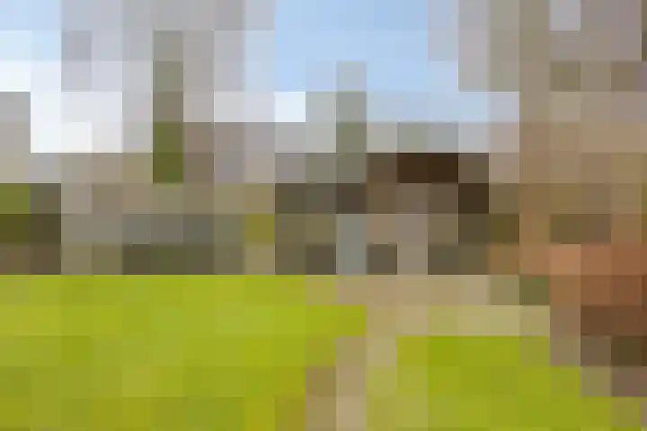 Terschelling 11 Emmeloord thumbnail 60