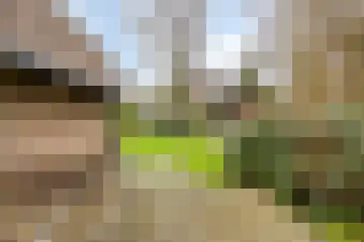 Terschelling 11 Emmeloord thumbnail 61