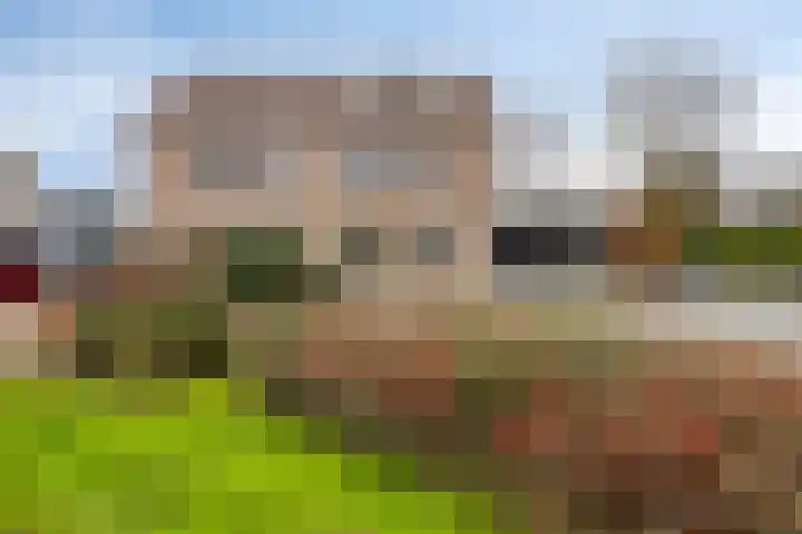 Terschelling 11 Emmeloord thumbnail 62