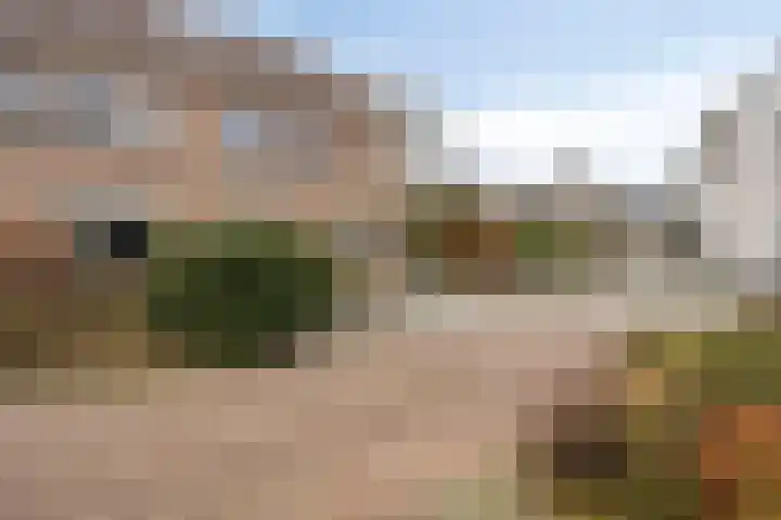 Terschelling 11 Emmeloord thumbnail 63