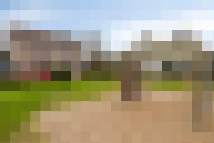 Terschelling 11 Emmeloord thumbnail 64