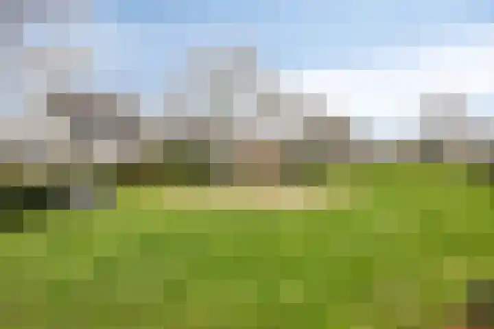 Terschelling 11 Emmeloord thumbnail 65