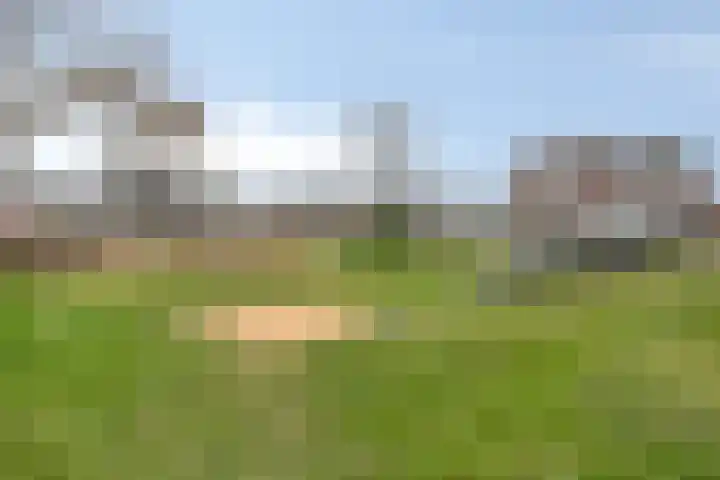 Terschelling 11 Emmeloord thumbnail 66
