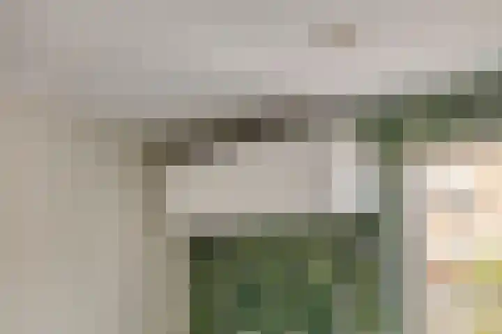 Terschelling 18 Emmeloord thumbnail 12